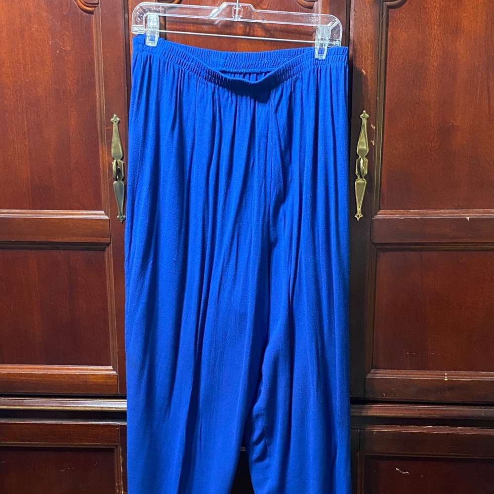 Fitting Image Vibrant Blue size 26W elastic waist Pants
